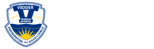 vmslogo